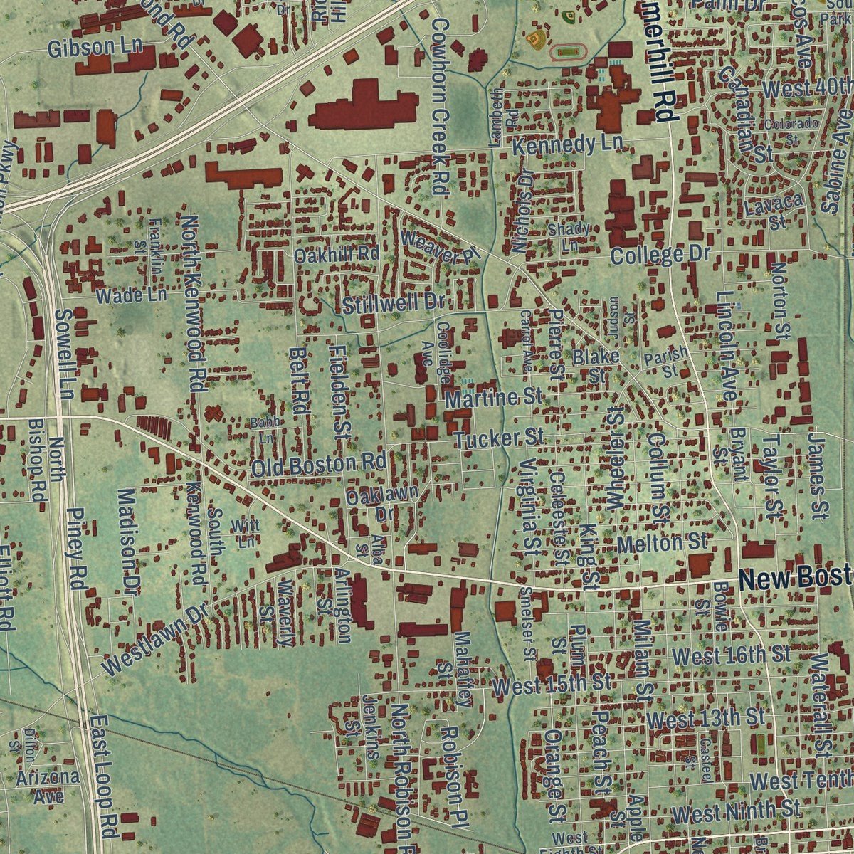 Close-up of the map of Texarkana, Texas print showing street and building detail