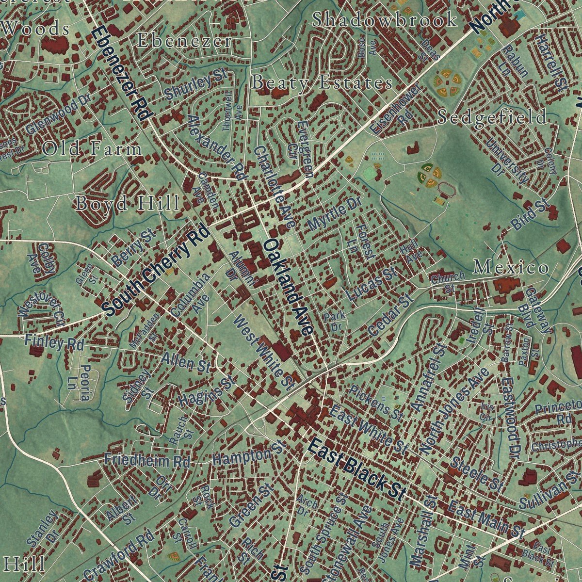 Close-up of the map of Rock Hill, South Carolina print showing street and building detail