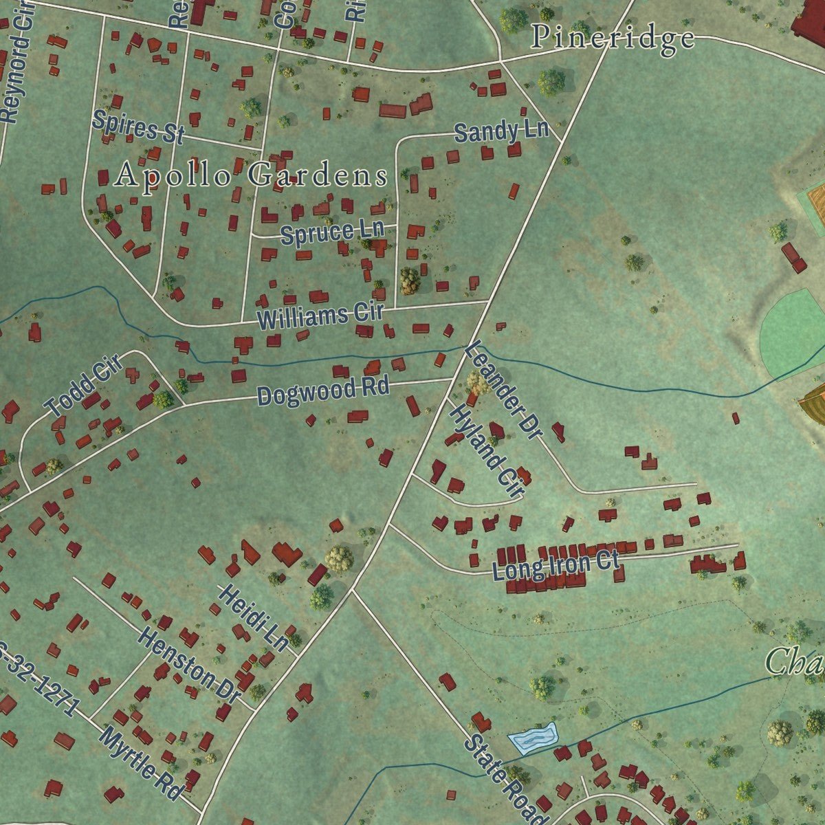 Close-up of the map of Pine Ridge, South Carolina print showing street and building detail