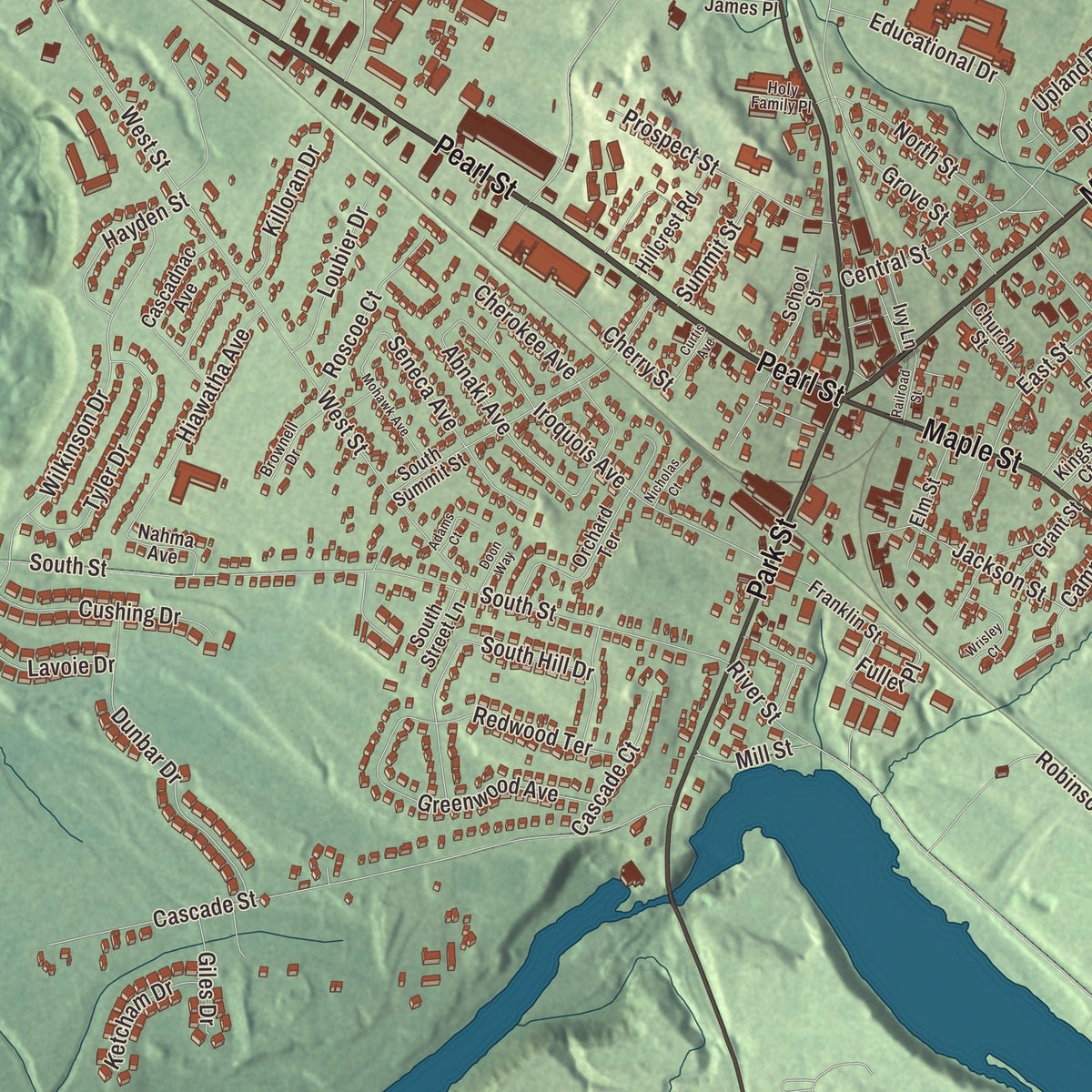 Close-up of the map of Essex Junction, Vermont print showing streets and neighborhoods
