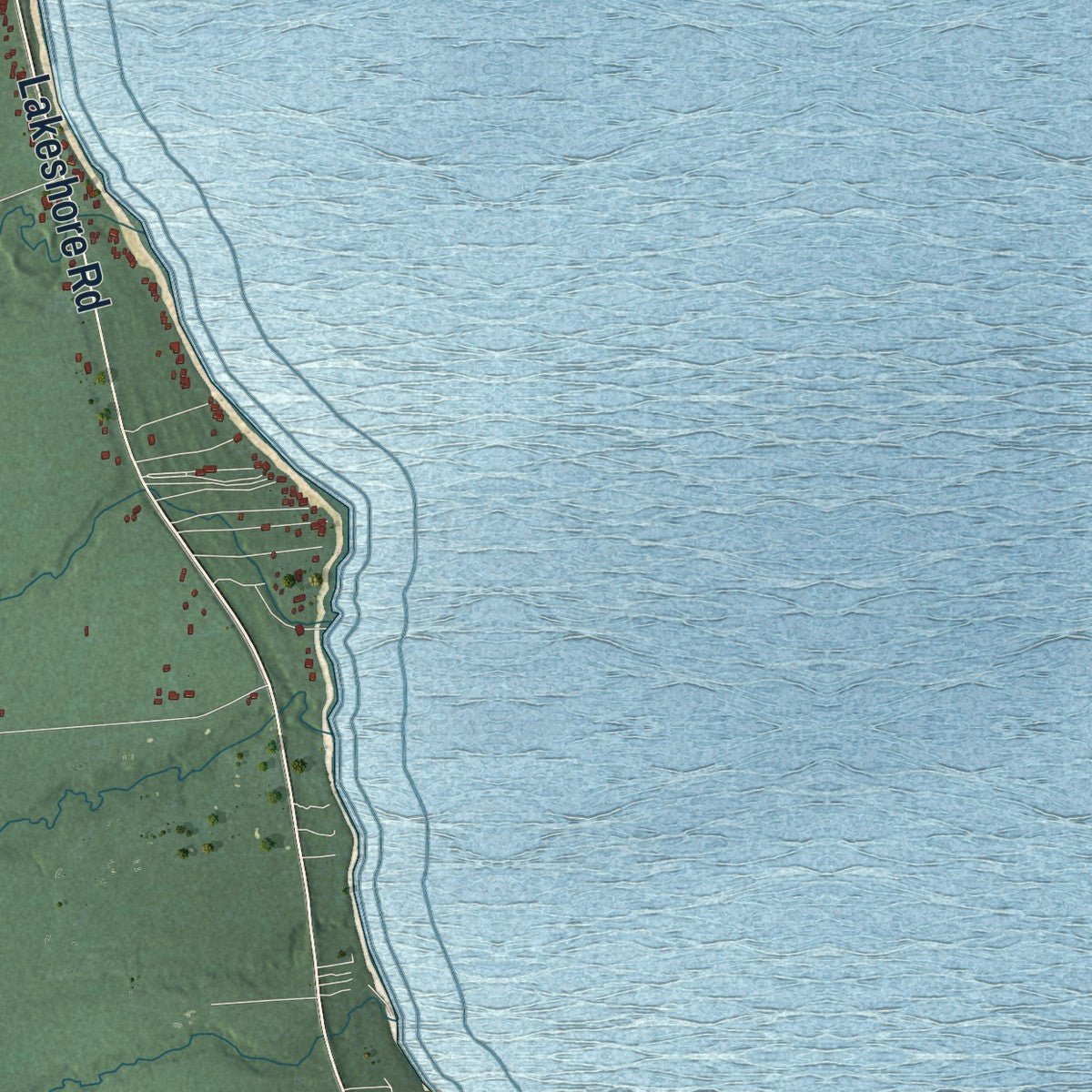 Close-up of the map of Forester, Michigan print showing street and building detail