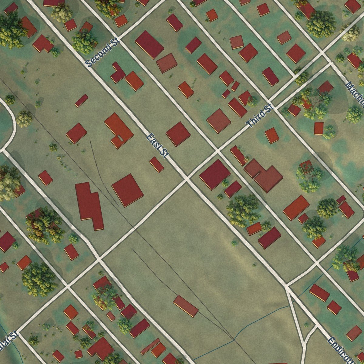 Close-up of the map of Endicott, Washington print showing street and building detail