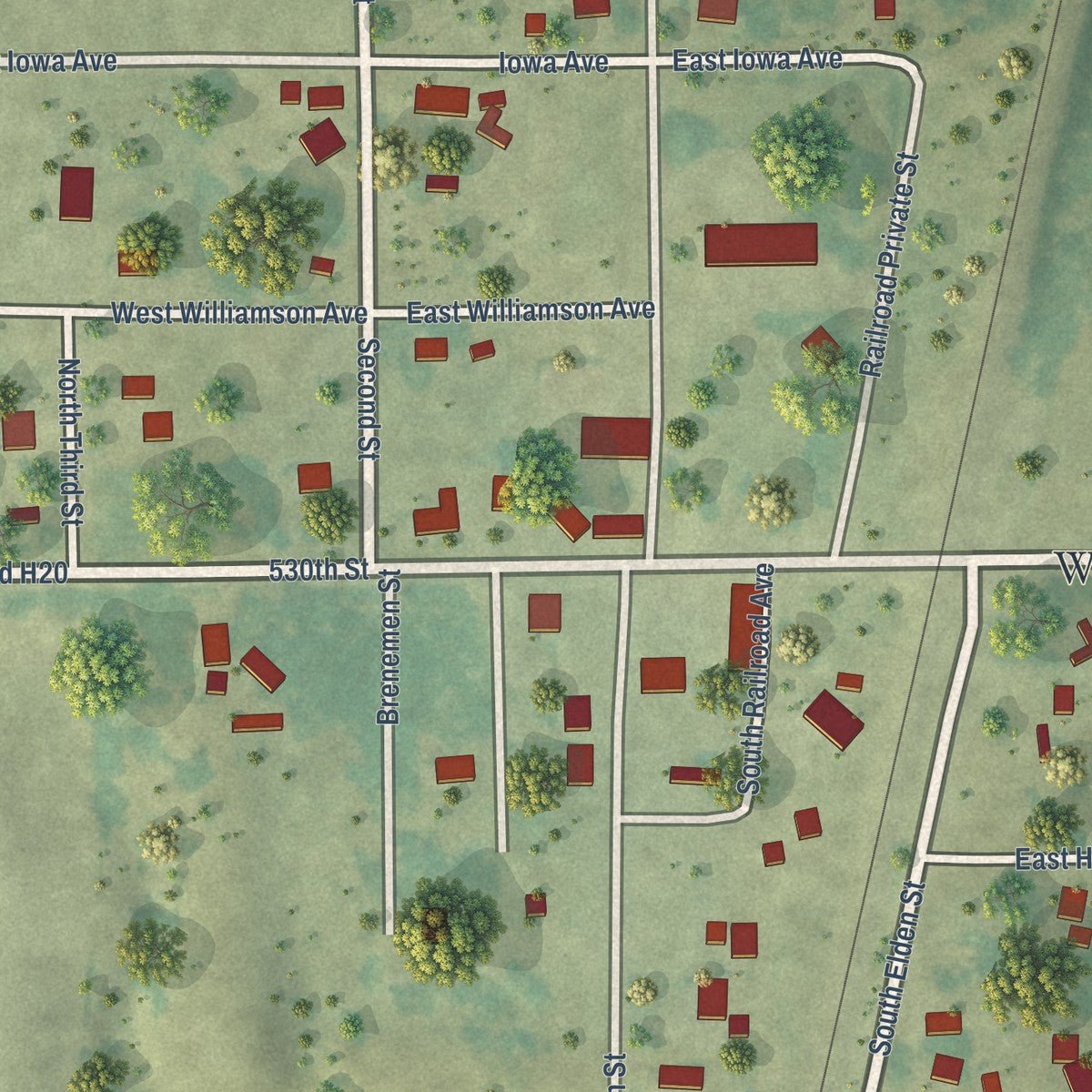 Close-up of the map of Williamson, Iowa print showing street and building detail
