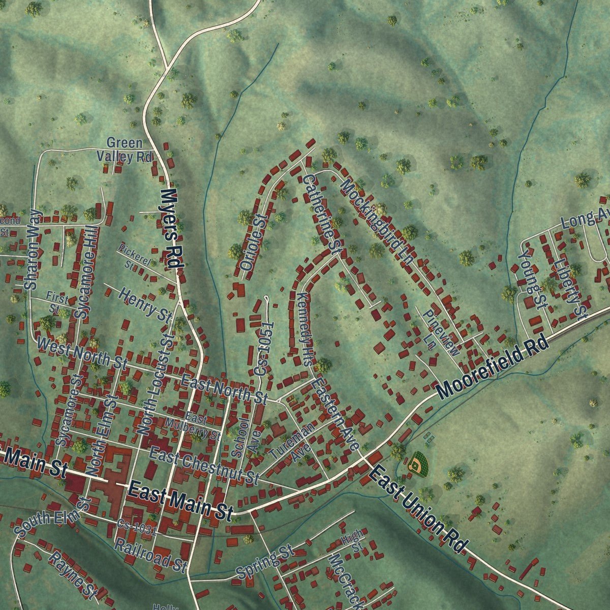 Close-up of the map of Carlisle, Kentucky print showing street and building detail