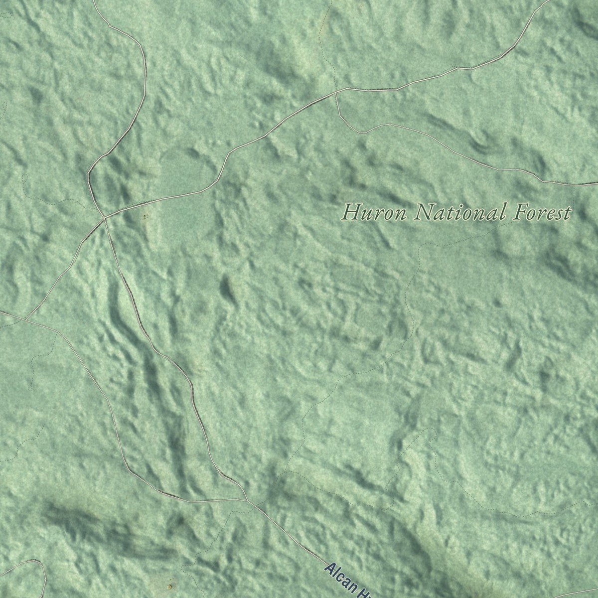 Close-up of the map of Goodar, Michigan print showing street and building detail