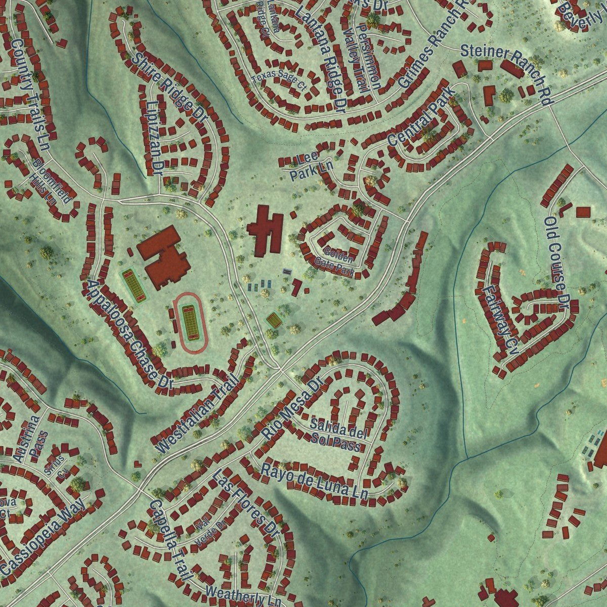 Close-up of the map of Steiner Ranch, Texas print showing street and building detail
