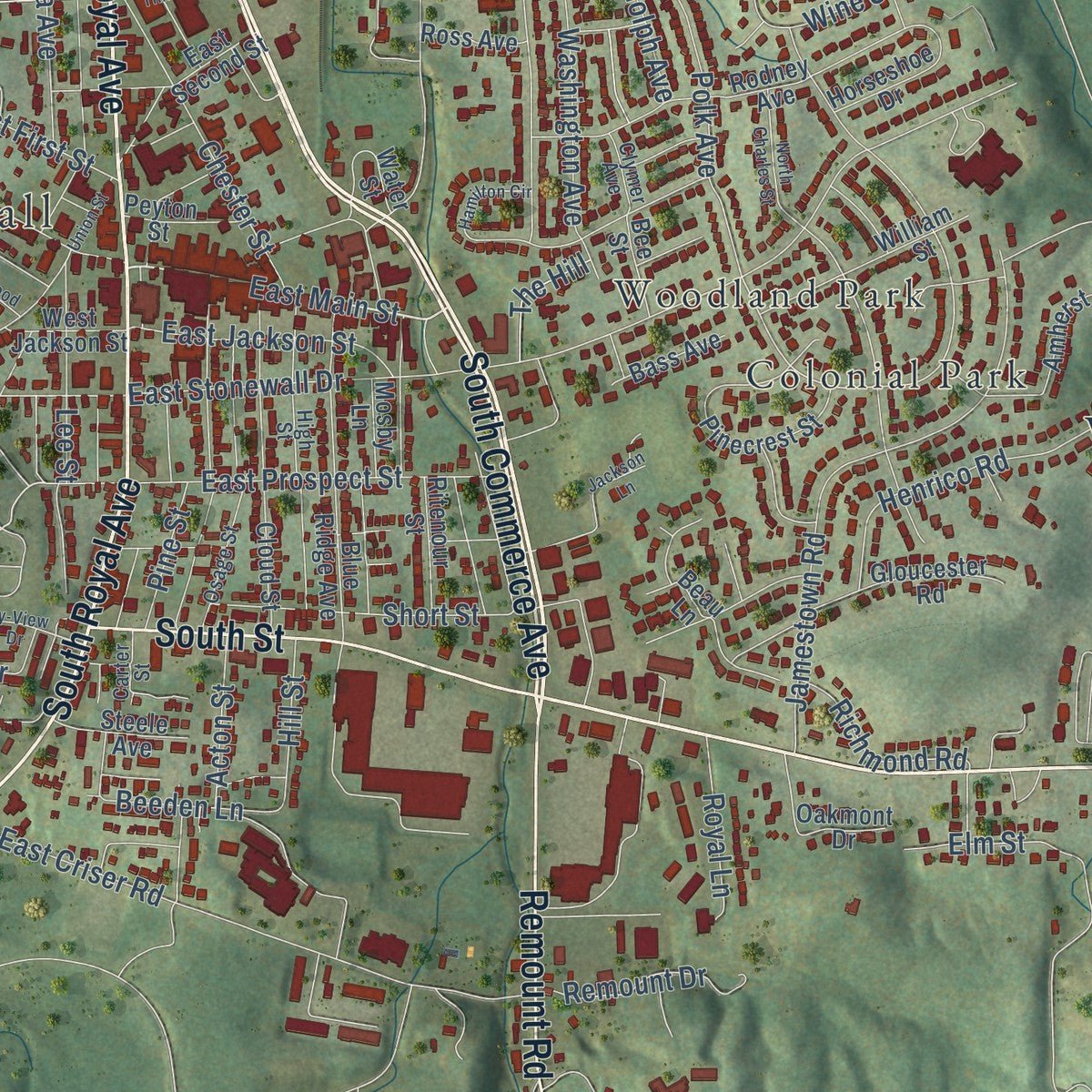 Close-up of the map of Front Royal, Virginia print showing street and building detail