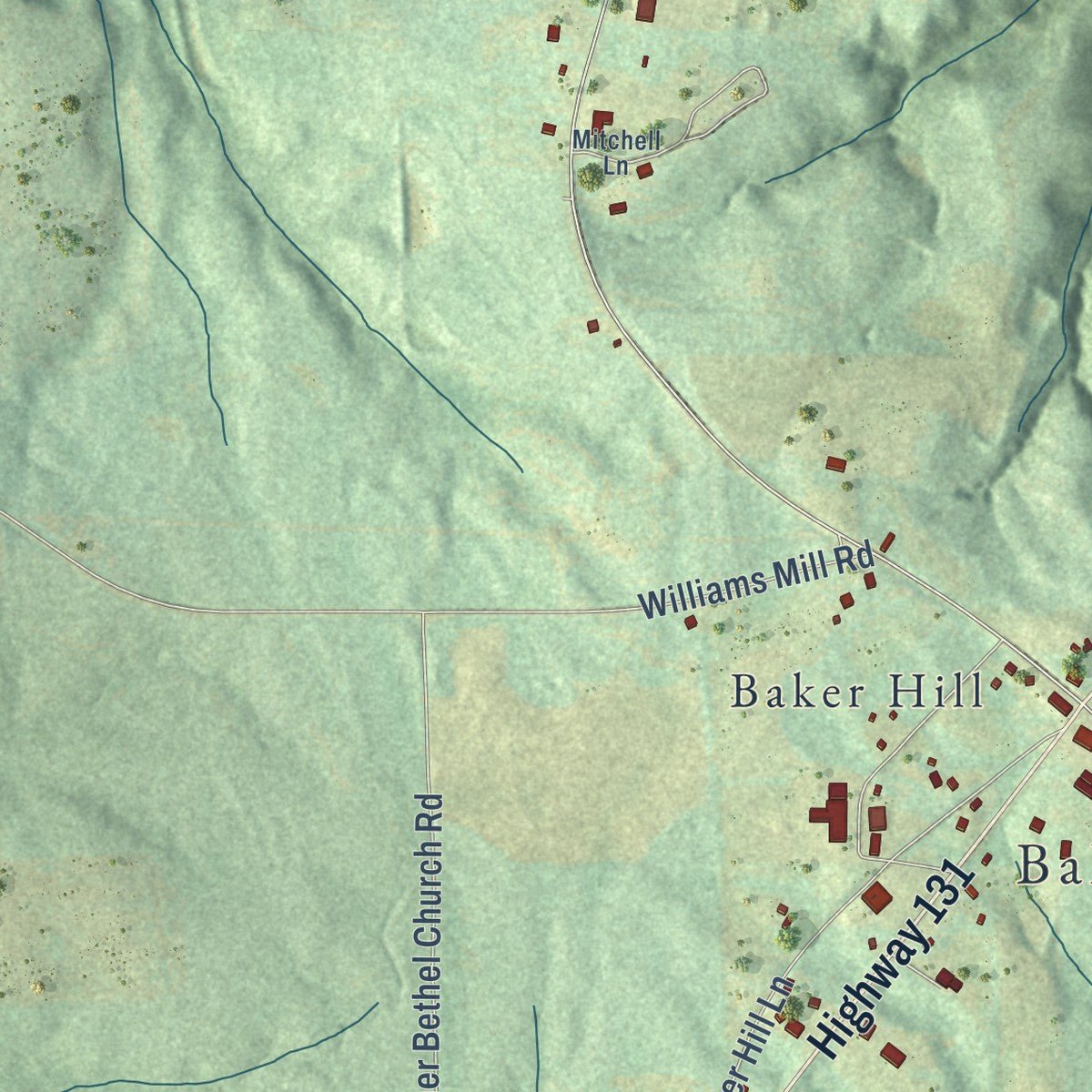 Close-up of the map of Bakerhill, Alabama print showing street and building detail
