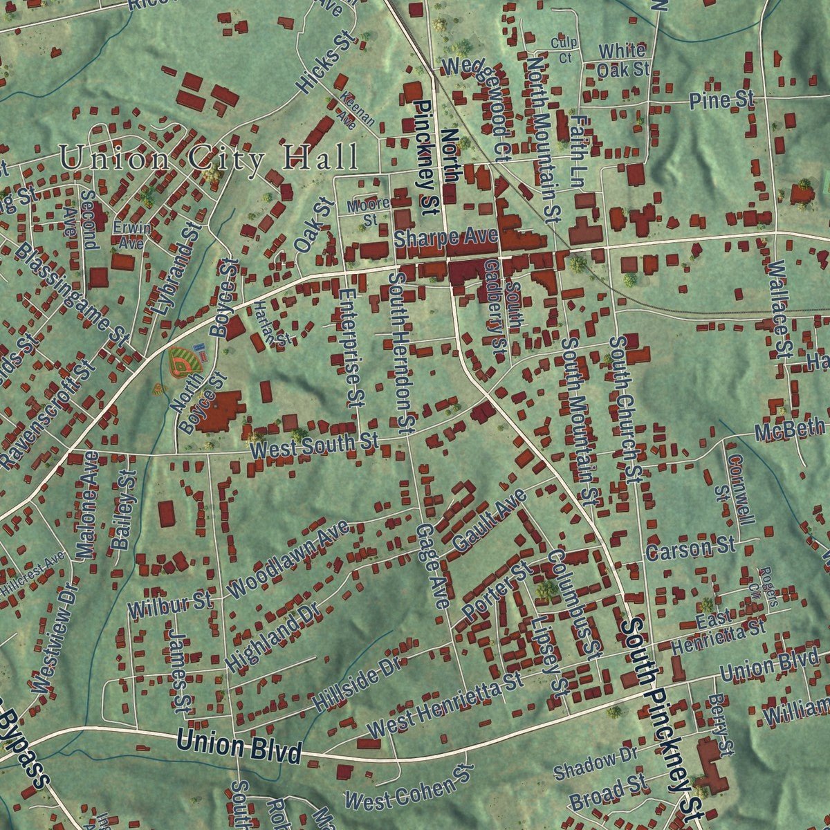 Close-up of the map of Union, South Carolina print showing street and building detail