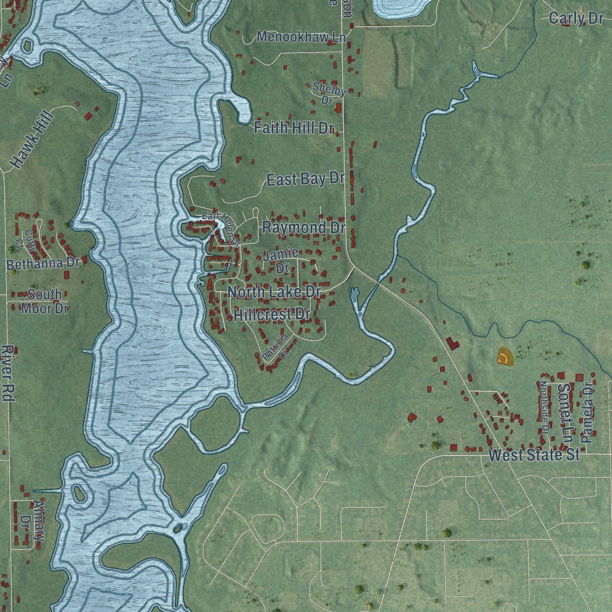 Close-up of the map of Coldwater, Branch County, Michigan print showing street and building detail