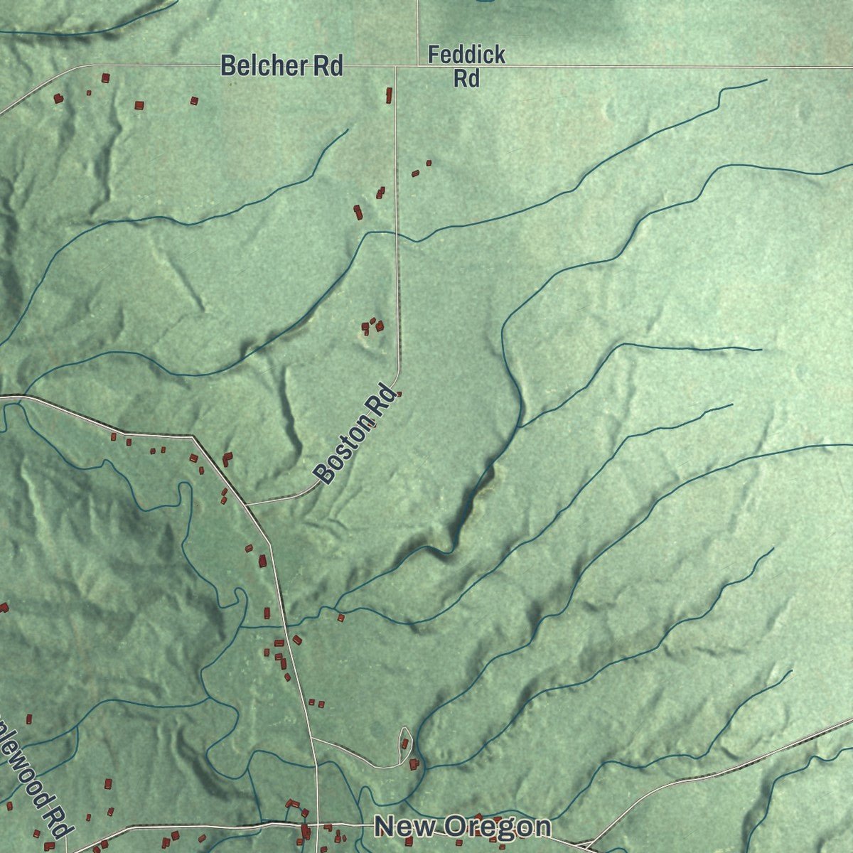Close-up of the map of North Collins, New York print showing street and building detail