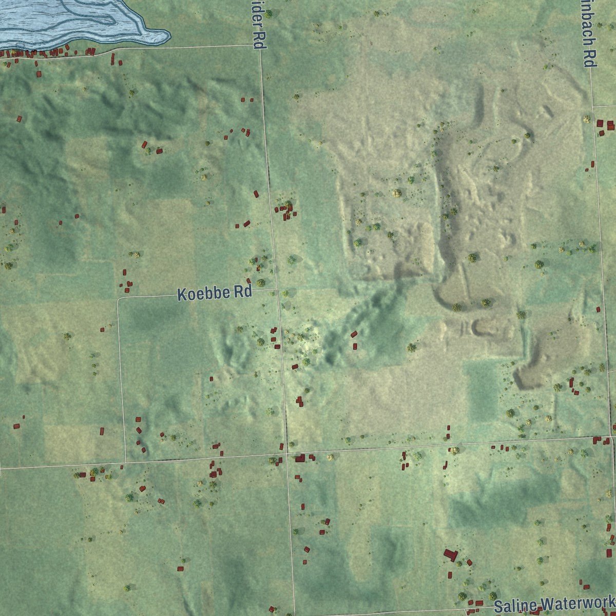 Close-up of the map of Freedom, Michigan print showing street and building detail