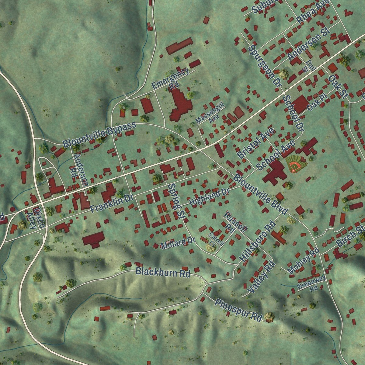 Close-up of the map of Blountville, Tennessee print showing street and building detail