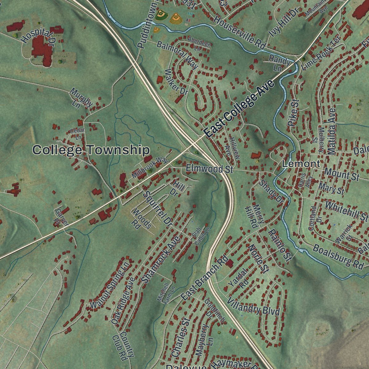 Close-up of the map of College, Pennsylvania print showing street and building detail