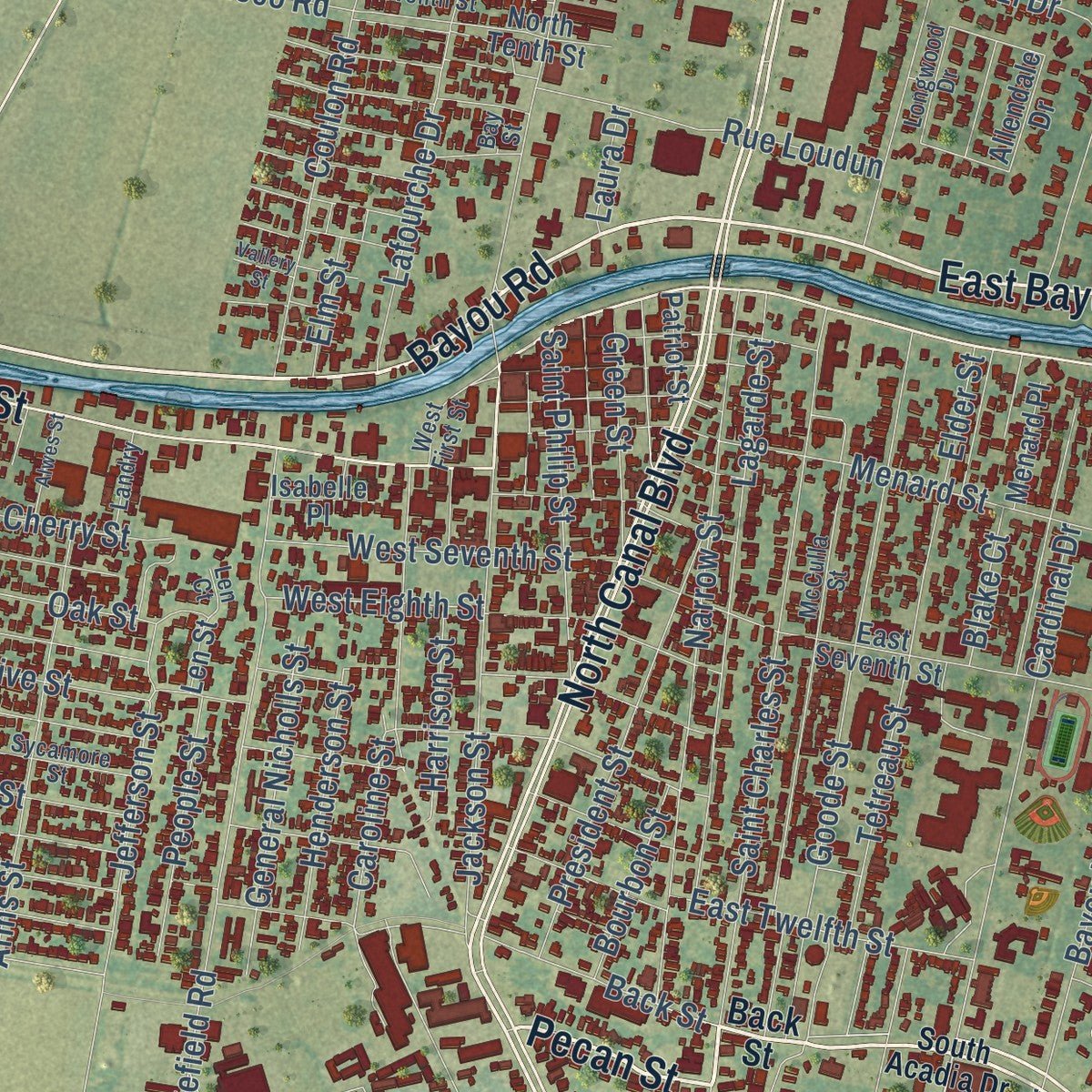 Close-up of the map of Thibodaux, Louisiana print showing street and building detail