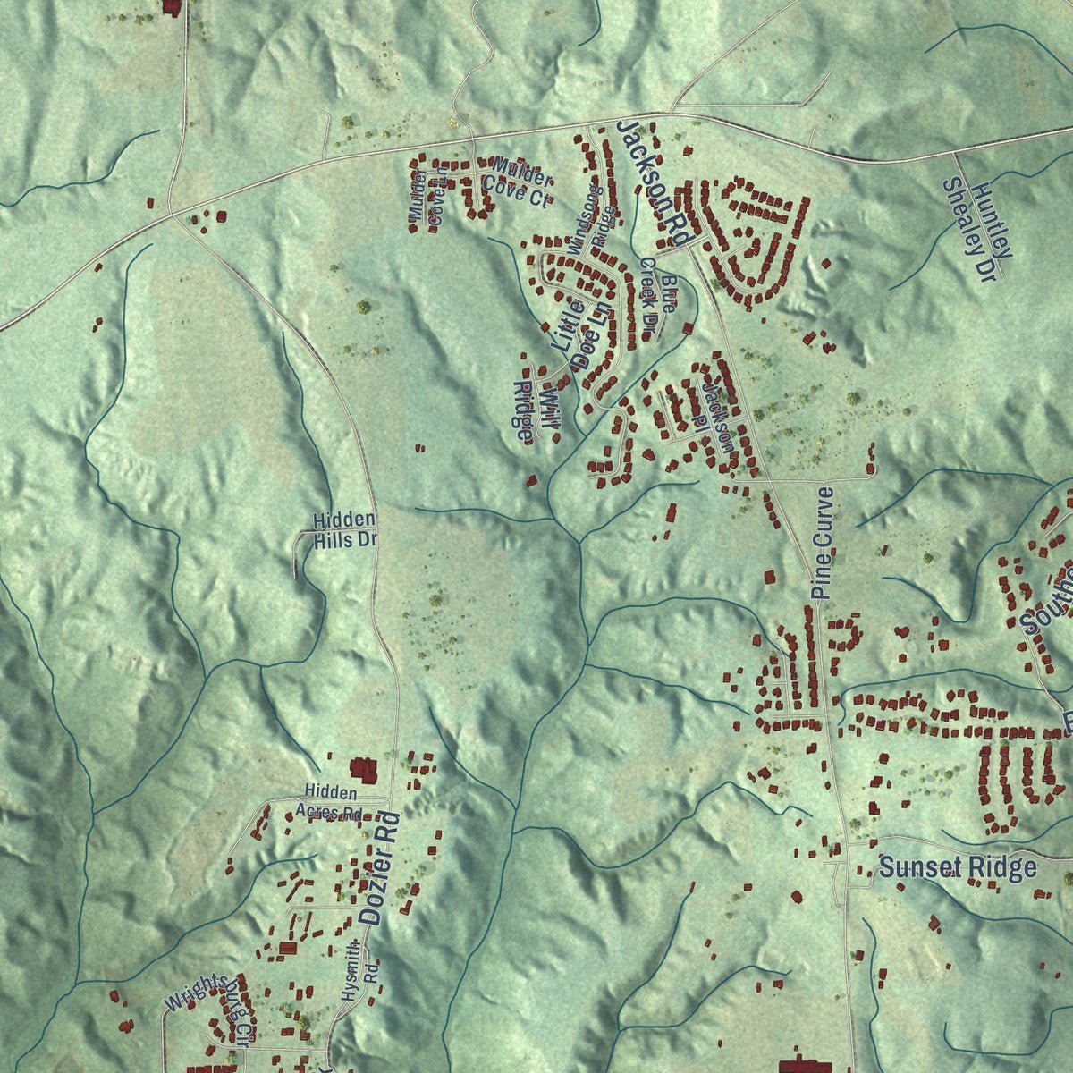 Close-up of the map of Redland, Alabama print showing street and building detail