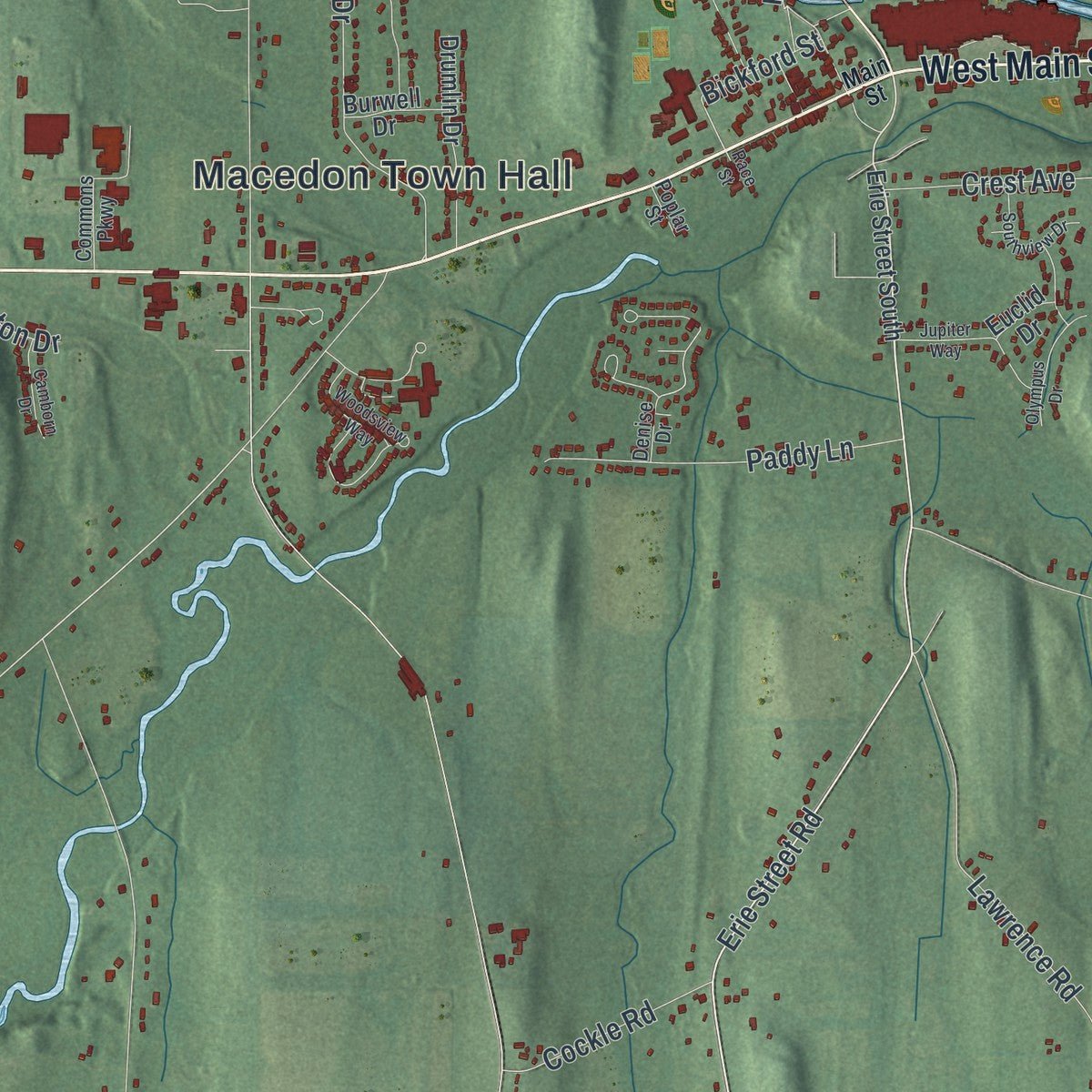 Close-up of the map of Macedon, New York print showing street and building detail