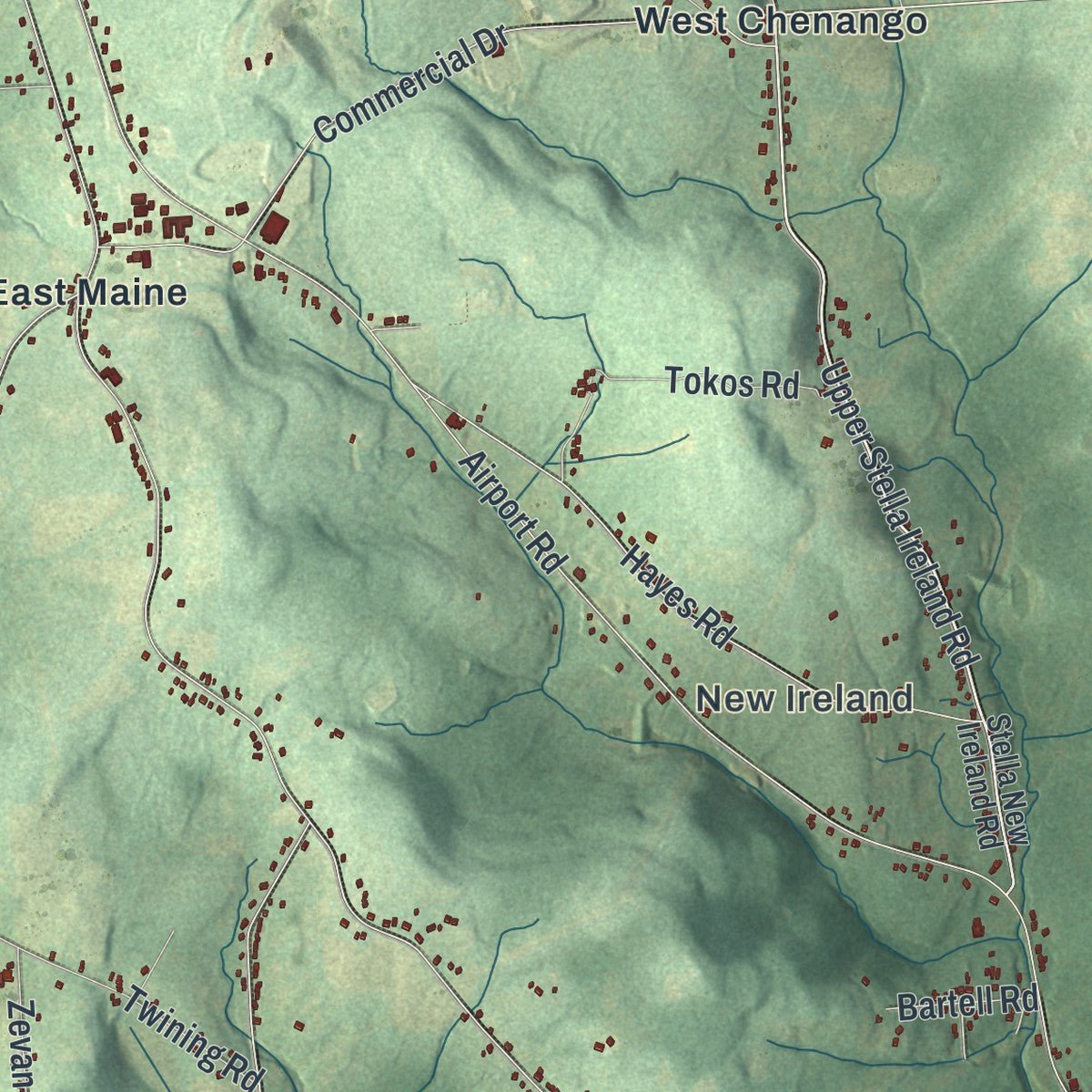 Close-up of the map of Maine, New York print showing street and building detail