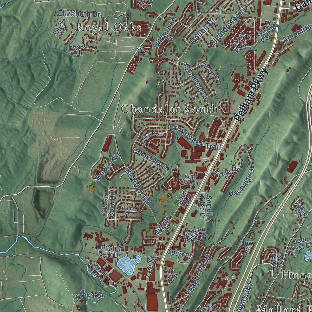 Close-up of the map of Pelham, Alabama print showing street and building detail