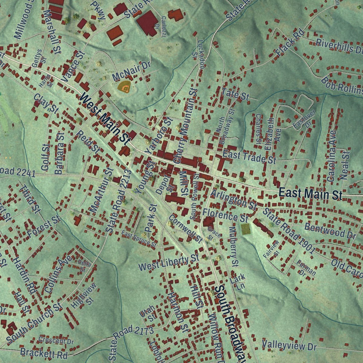 Close-up of the map of Forest City, North Carolina print showing street and building detail