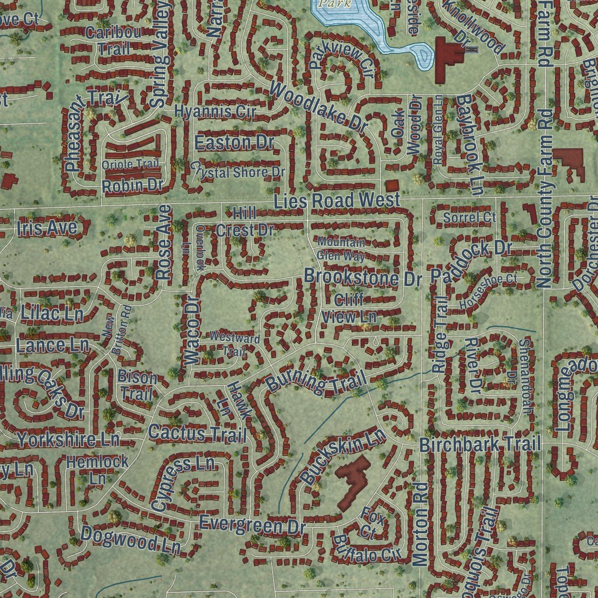 Close-up of the map of Carol Stream, Illinois print showing street and building detail