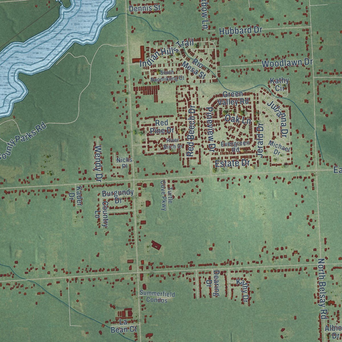 Close-up of the map of Genesee, Michigan print showing street and building detail