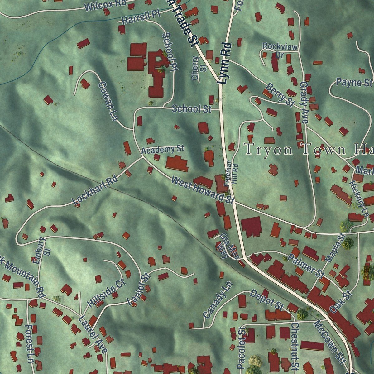 Close-up of the map of Tryon, North Carolina print showing street and building detail