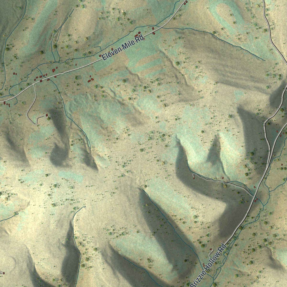 Close-up of the map of Oswayo, Potter County, Pennsylvania print showing street and building detail