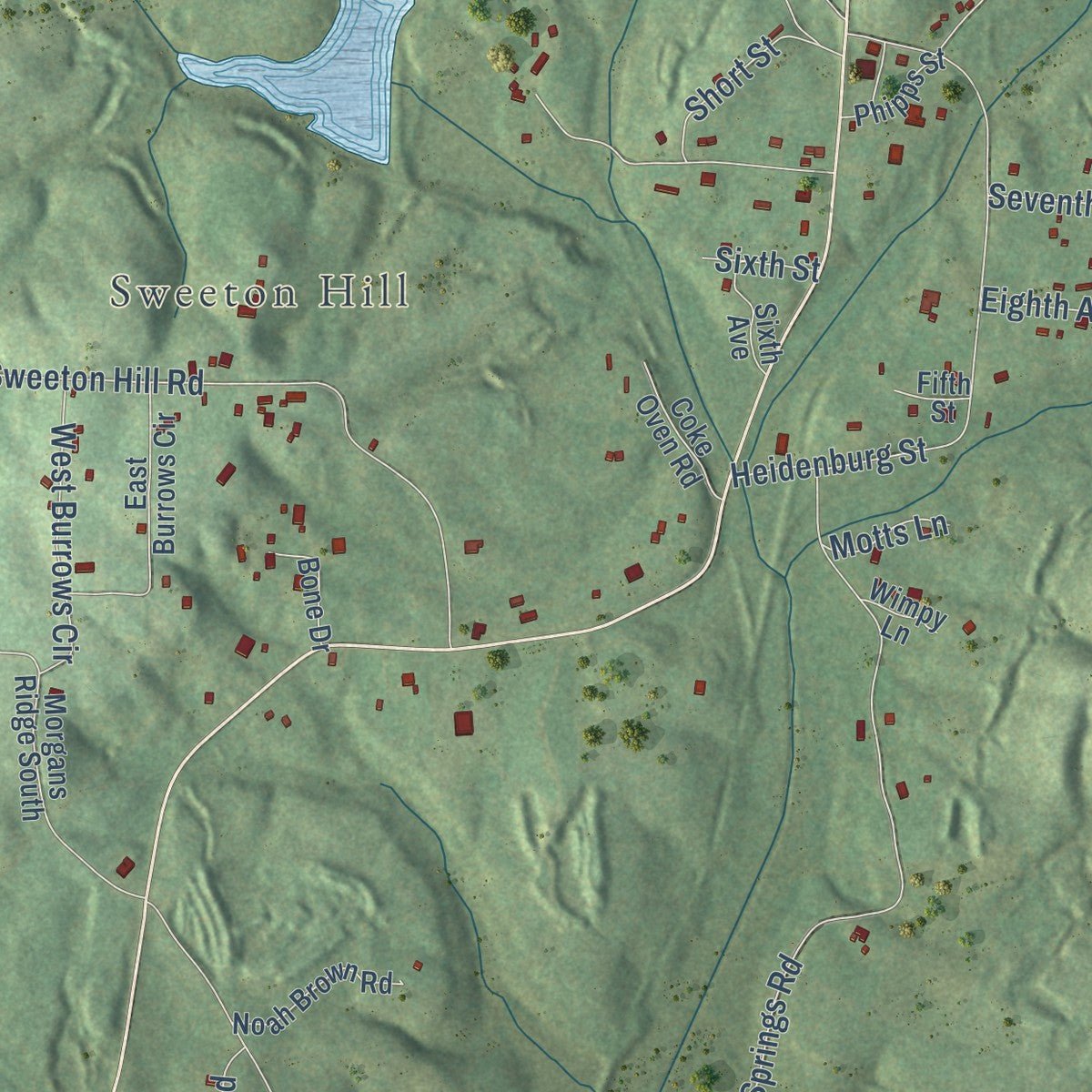 Close-up of the map of Coalmont, Tennessee print showing street and building detail