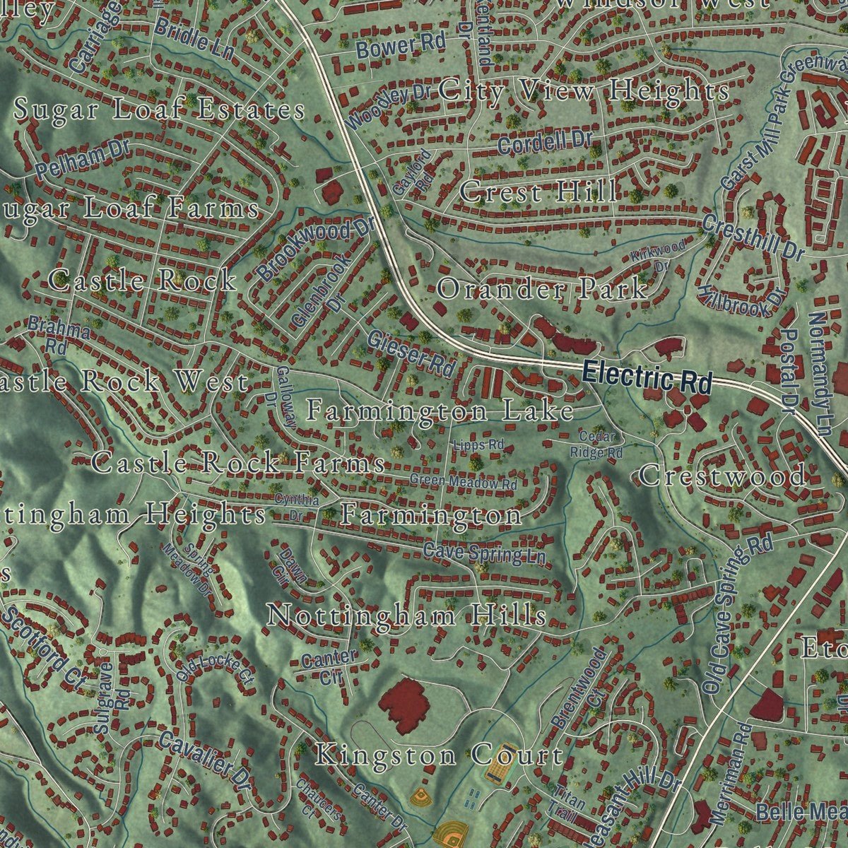 Close-up of the map of Cave Spring, Virginia print showing street and building detail