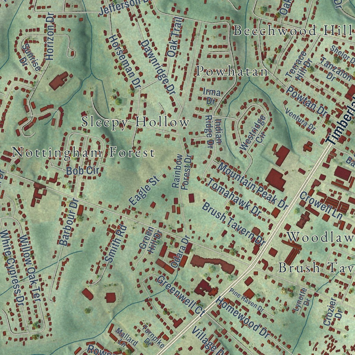 Close-up of the map of Timberlake, Virginia print showing street and building detail