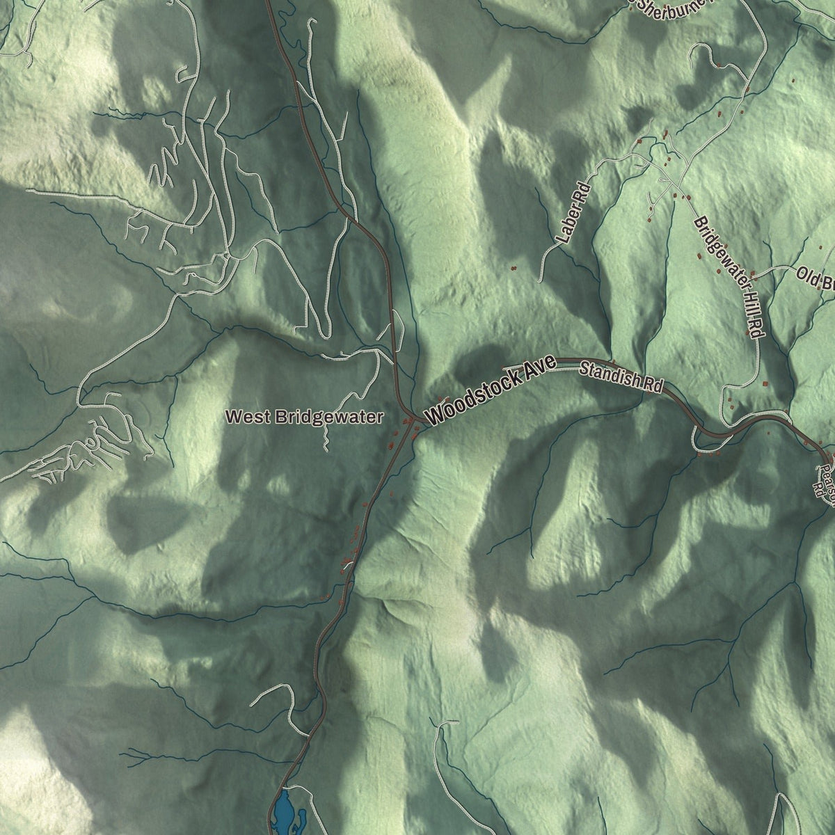 Close-up of the map of Bridgewater, Vermont print showing streets and neighborhoods