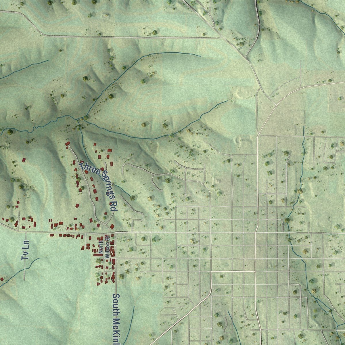 Close-up of the map of South Lancaster, Wisconsin print showing street and building detail
