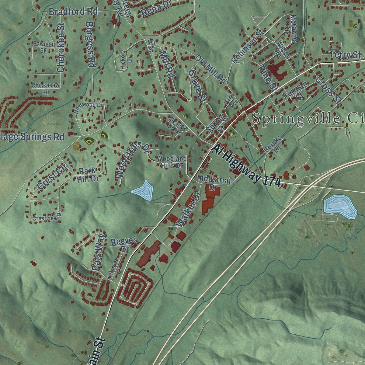 Close-up of the map of Springville, Alabama print showing street and building detail