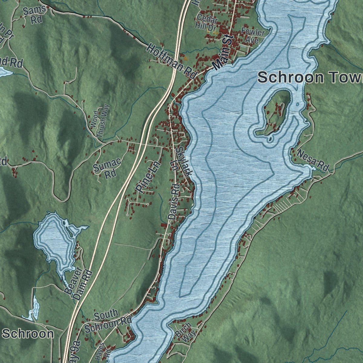 Close-up of the map of Schroon, New York print showing street and building detail