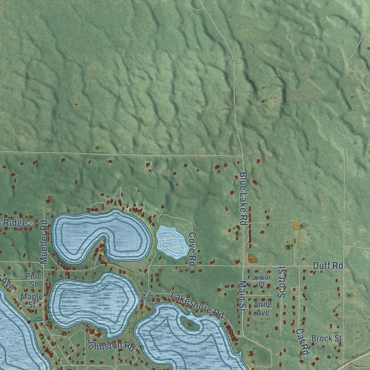 Close-up of the map of Dalton, Michigan print showing street and building detail