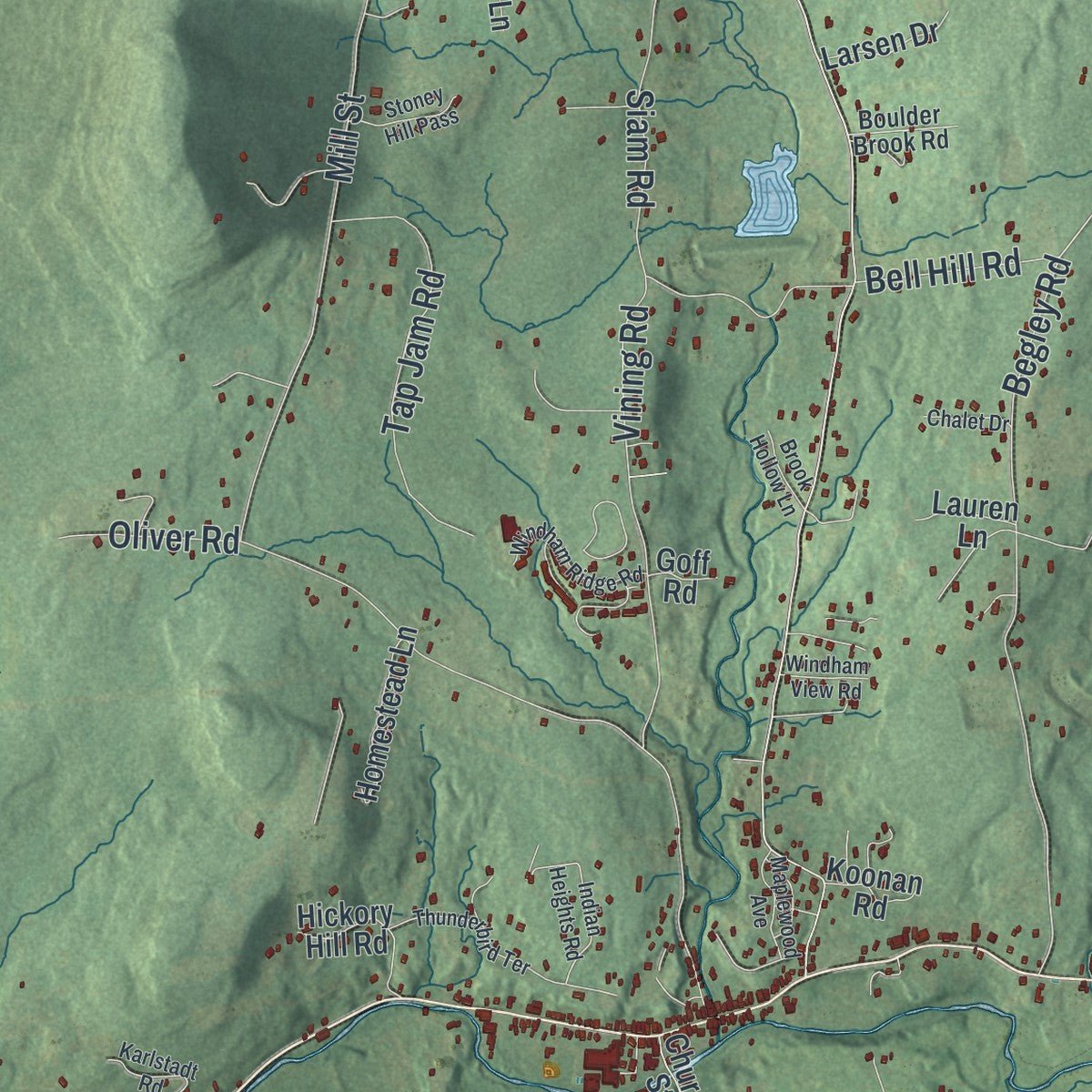 Close-up of the map of Windham, New York print showing street and building detail