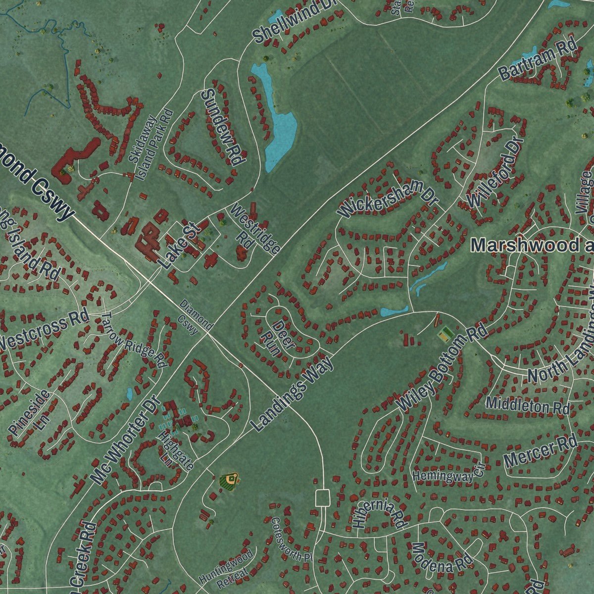 Close-up of the map of Skidaway Island, Georgia print showing street and building detail
