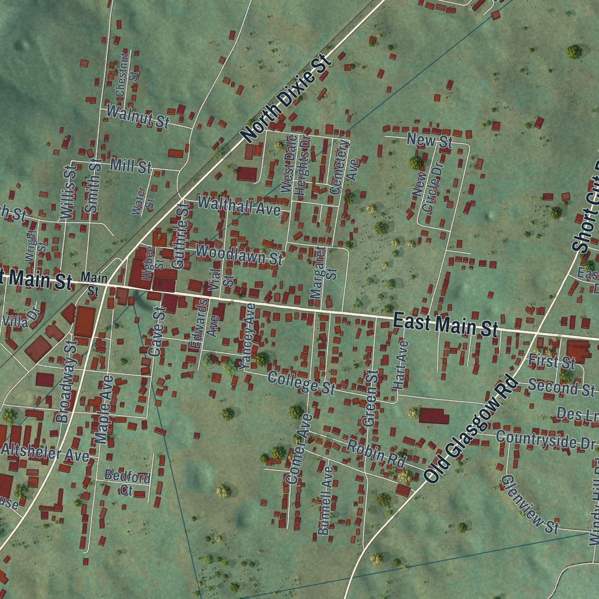 Close-up of the map of Horse Cave, Kentucky print showing street and building detail