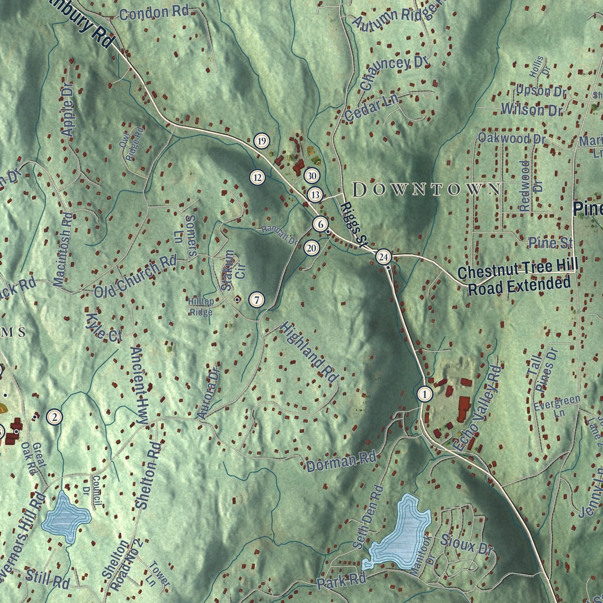 Close-up of the map of Oxford, Connecticut print showing street and building detail