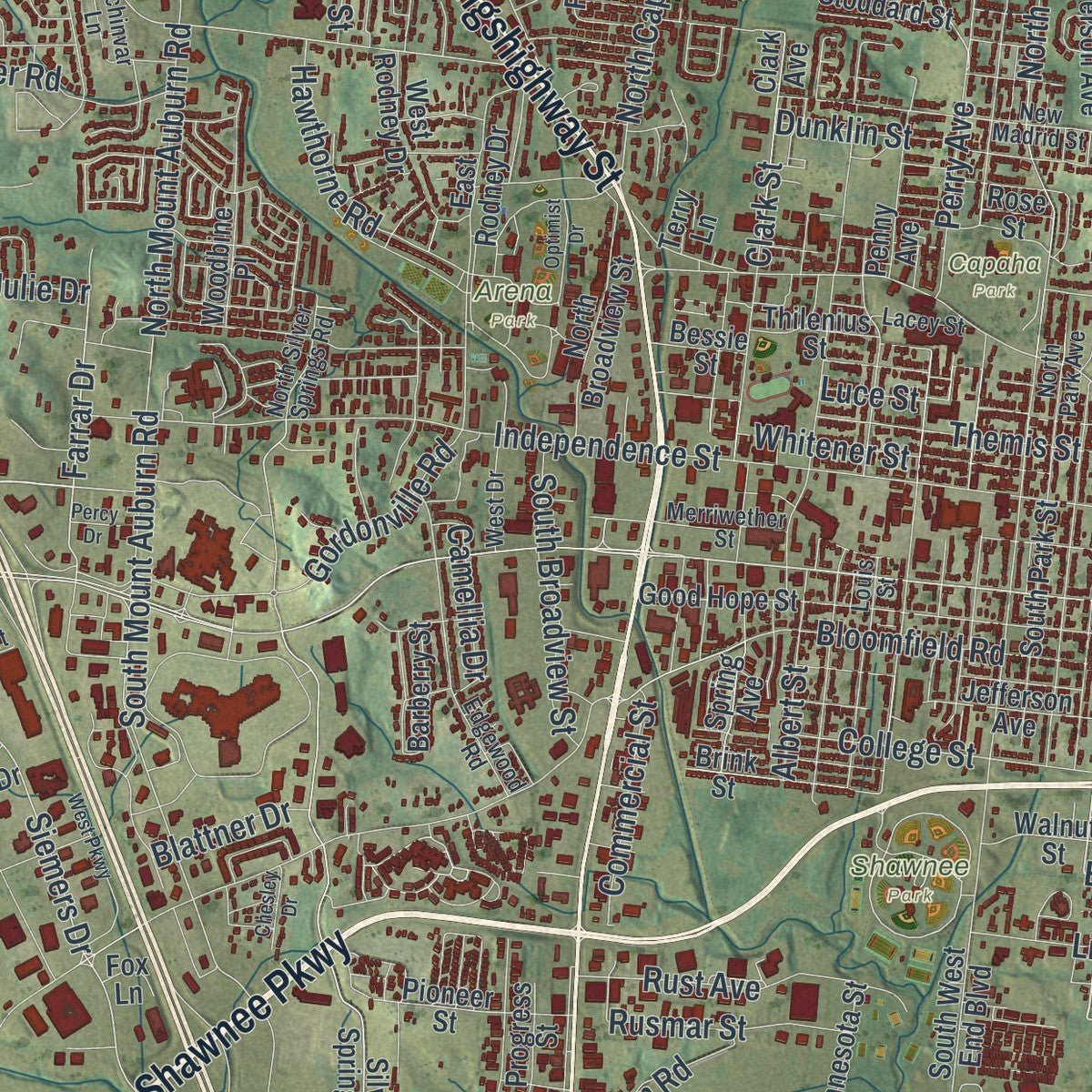 Close-up of the map of Cape Girardeau, Missouri print showing street and building detail