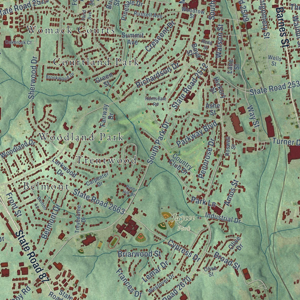 Close-up of the map of Reidsville, North Carolina print showing street and building detail