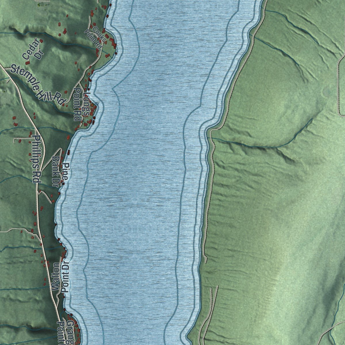 Close-up of the map of South Bristol, New York print showing street and building detail