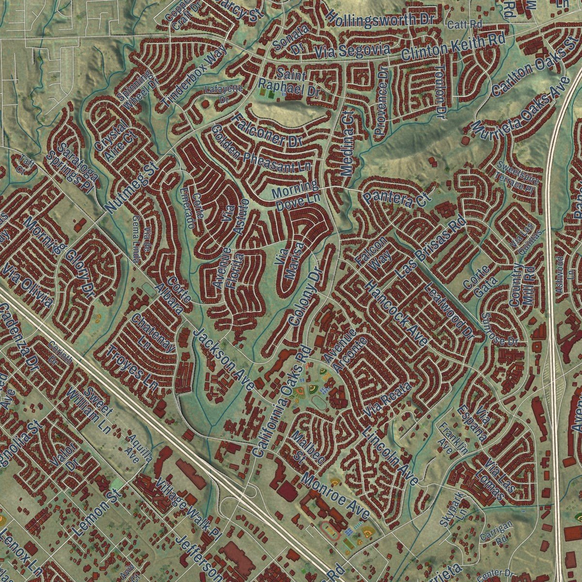 Close-up of the map of Murrieta, California print showing street and building detail