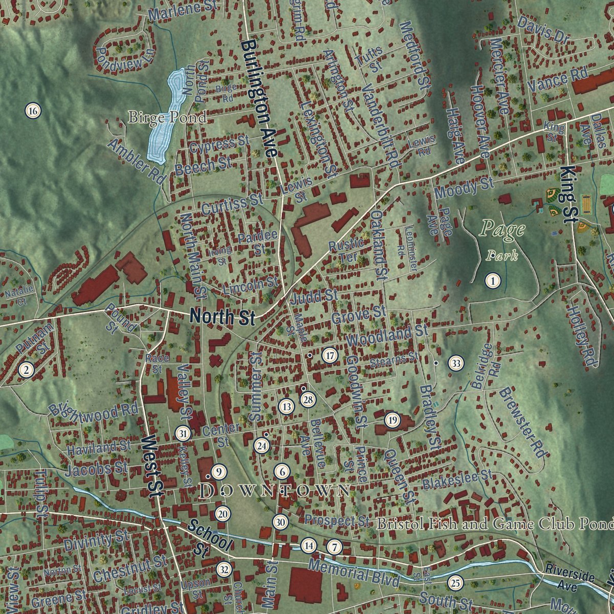 Close-up of the map of Bristol, Connecticut print showing street and building detail