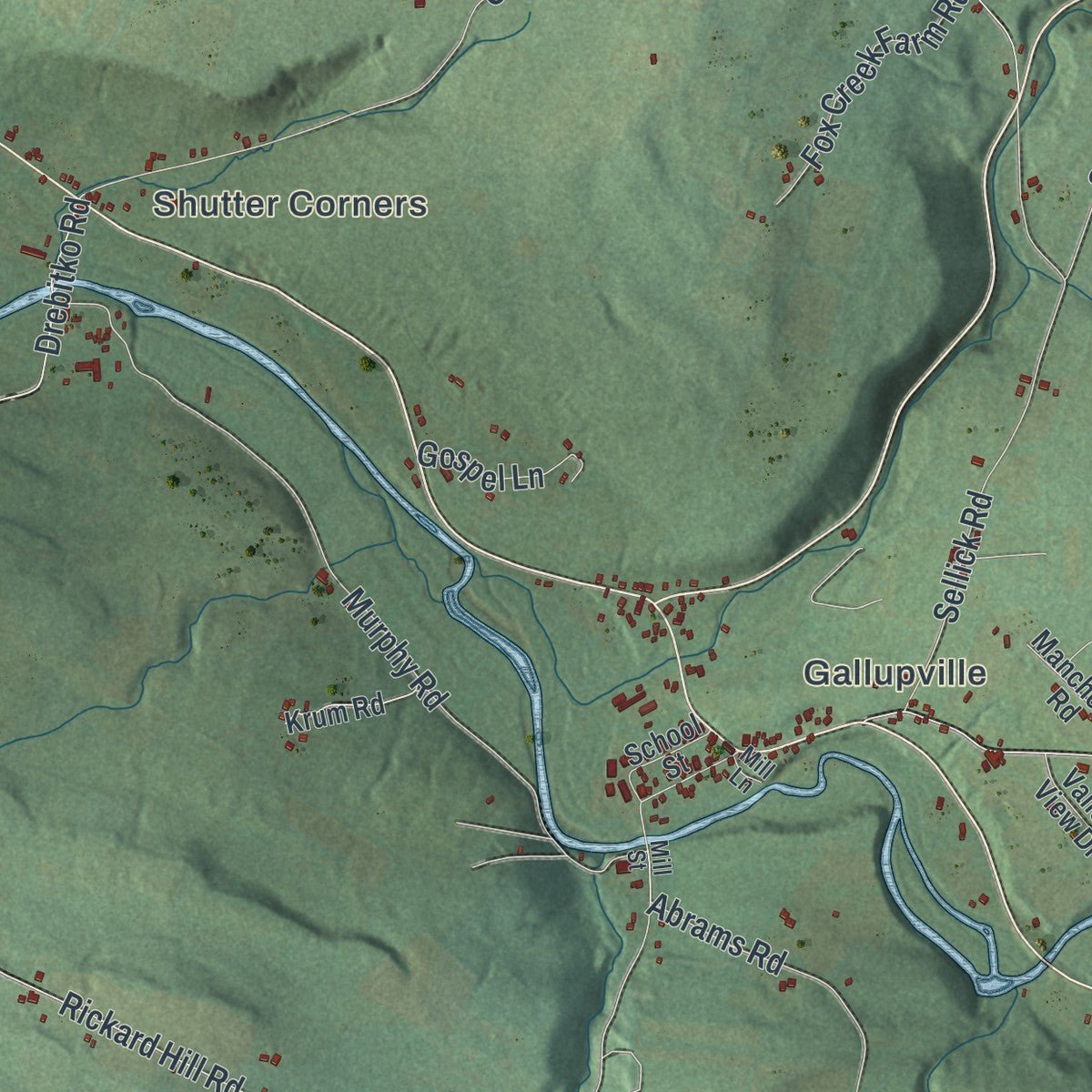 Close-up of the map of Wright, New York print showing street and building detail