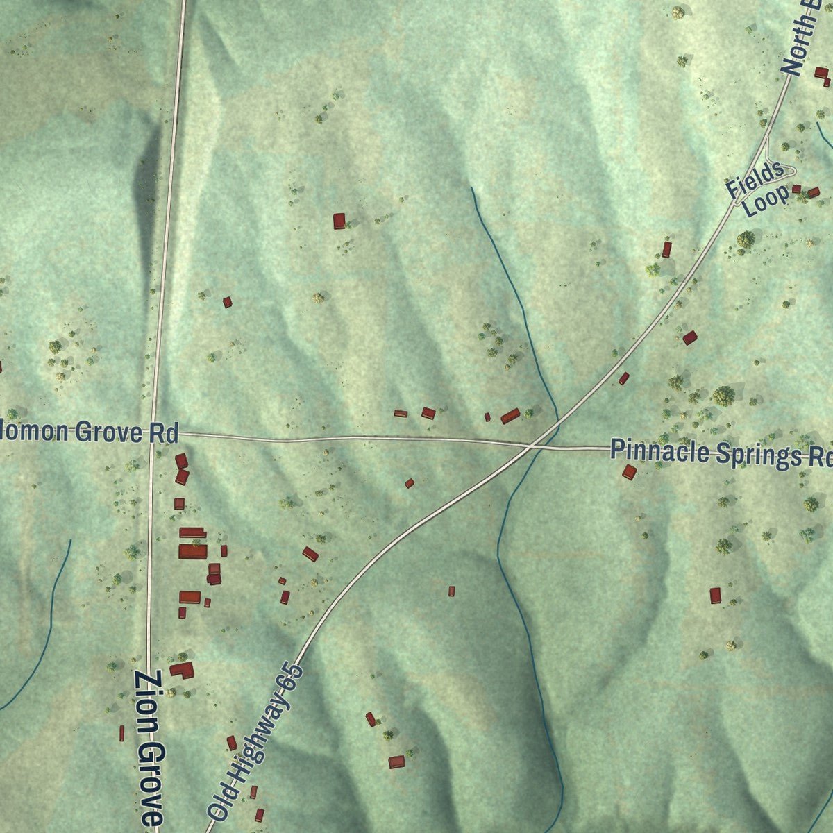Close-up of the map of Twin Groves, Arkansas print showing street and building detail
