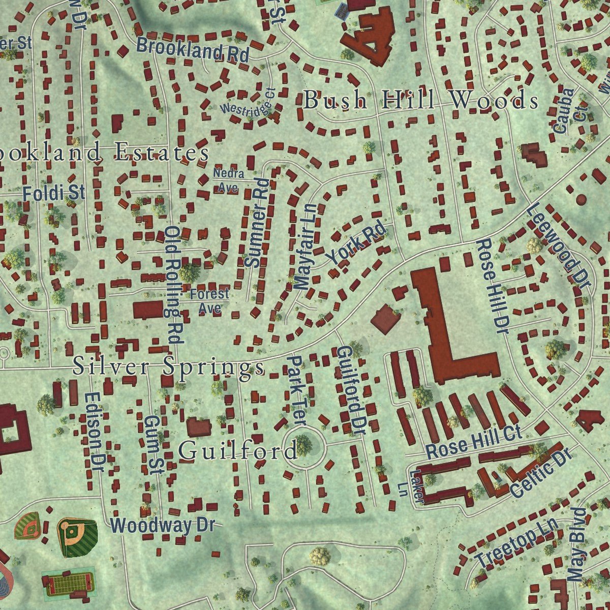 Close-up of the map of Rose Hill, Virginia print showing street and building detail