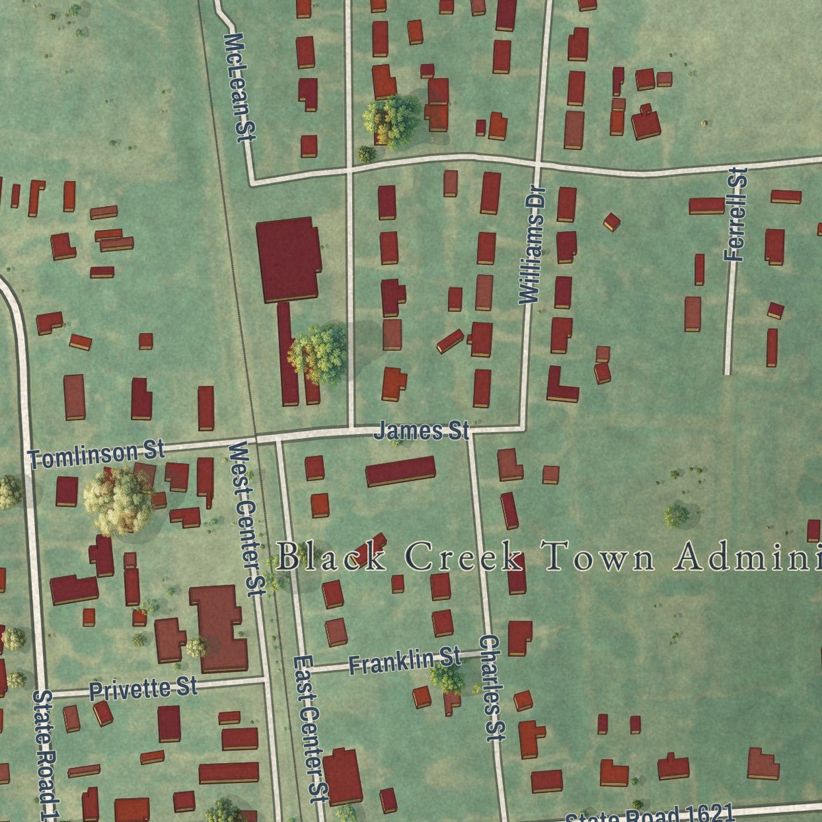 Close-up of the map of Black Creek, North Carolina print showing street and building detail