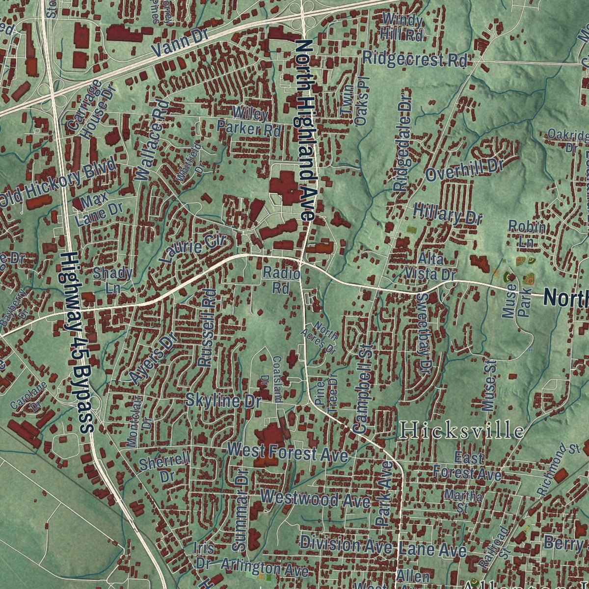 Close-up of the map of Jackson, Tennessee print showing street and building detail